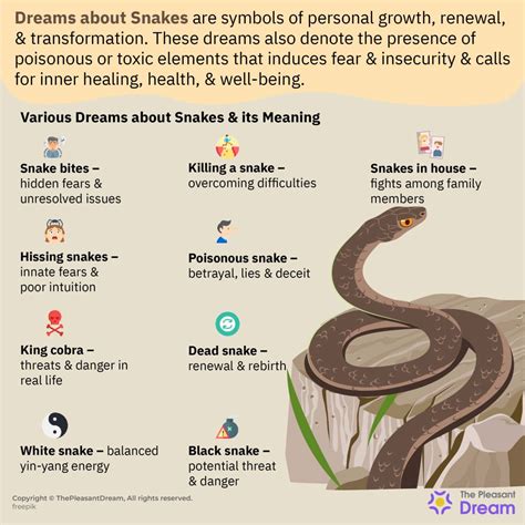 snake dream number